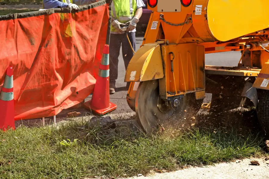 Experienced Stump Grinding Coachella CA Experienced Stump Grinding Coachella CA