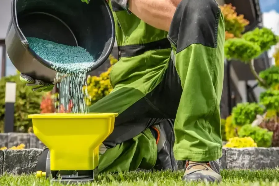 What To Consider Before Hiring Landscaping Services For Your Property Coachella CA What To Consider Before Hiring Landscaping Services For Your Property Coachella CA