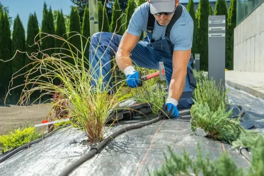What To Consider Before Hiring Landscaping Services For Your Property in Coachella CA What To Consider Before Hiring Landscaping Services For Your Property in Coachella CA